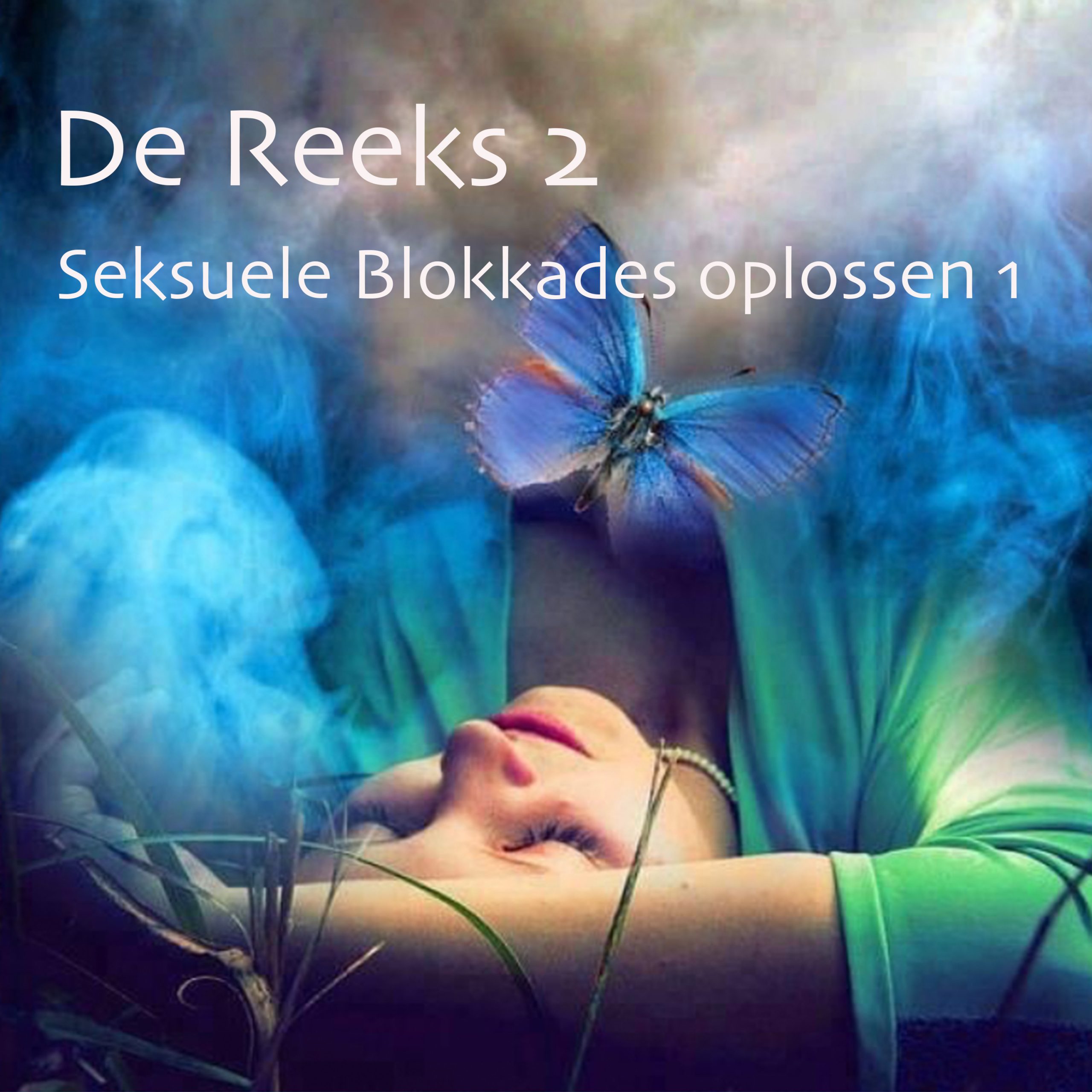 De Reeks 2 –  Seksuele Blokkades oplossen 1